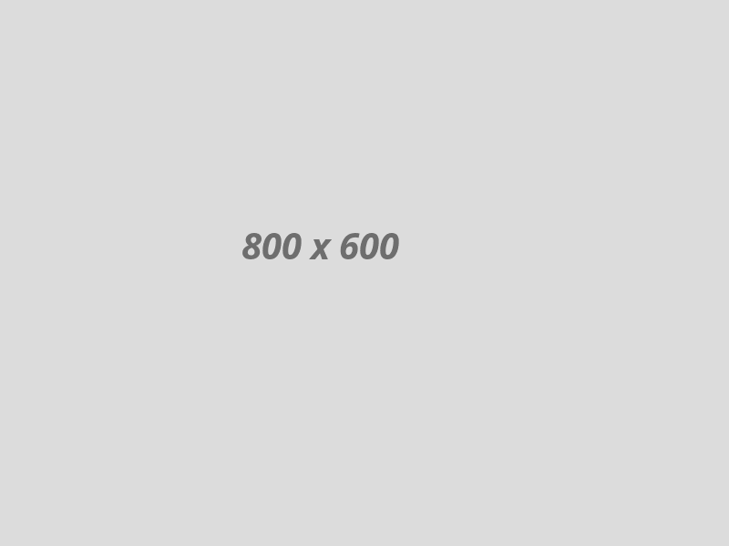 who01 who01
